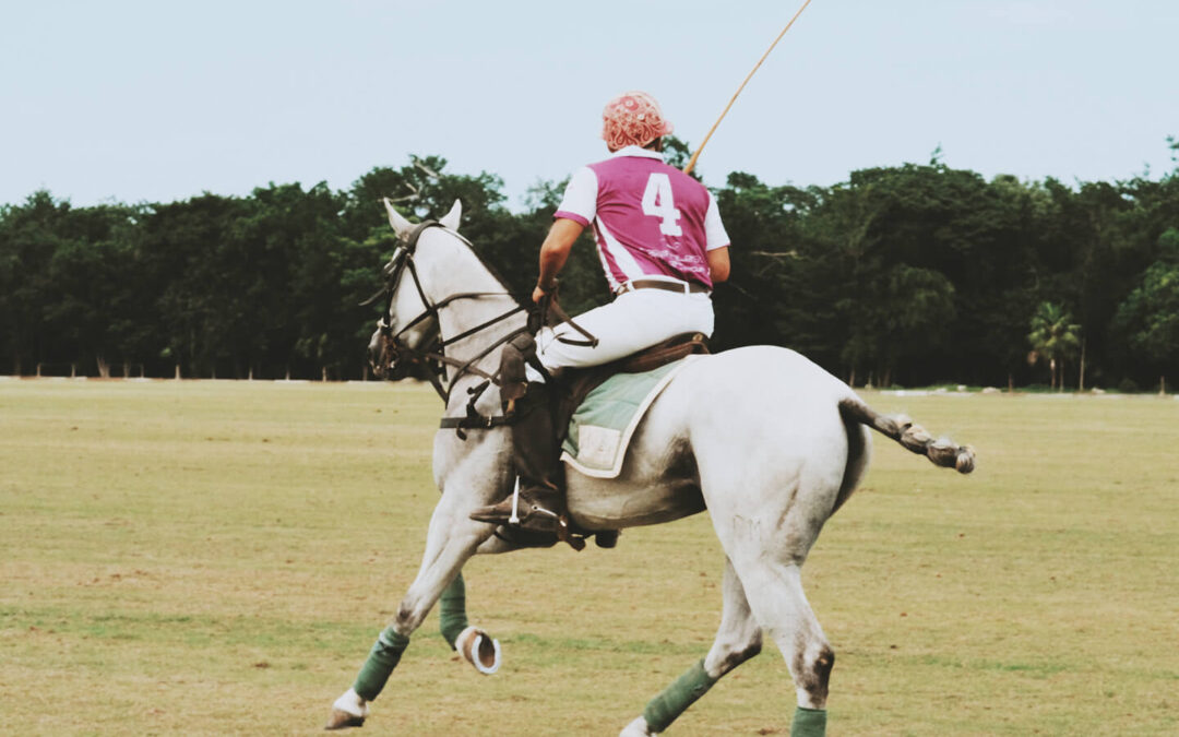 Sommer-Highlights auf Sylt