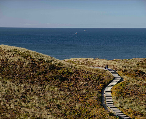 panorama_suite Spazieren durch die Dünen vo Sylt