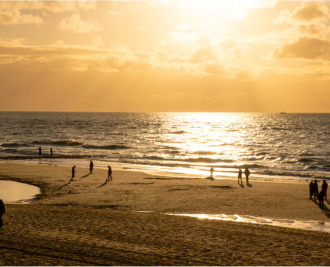 panorama_suite Sonnenaufgang auf Sylt